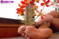 Amara Taroon очень сильно хочет секса amta0373.jpg