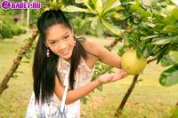 Смотреть на писю Guitar Anongratee guan0420.jpg