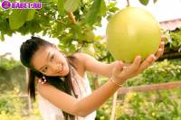 Смотреть на писю Guitar Anongratee guan0458.jpg