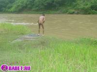 порно фото Голый парень на природе светит хуем 4 fahj utb 111.jpg