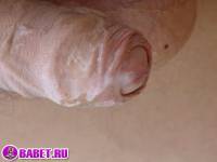 порно фото Дрочит хуй рядом с высоковольтной вышкой 5 fahj utb 85.jpg