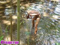 порно фото Молодой парнишка кончил себе на ногу 11 fahj utb 151.jpg