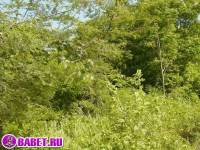 порно фото Купили парня на час чтоб тот дрочил 18.jpg