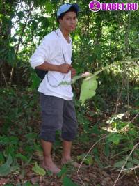 порно фото Гей в кепке дрочит писю на природе 3.jpg