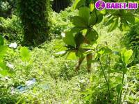 порно фото Дрочит хер в белых труселях 90.jpg