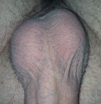 ГЕЙ ПОРНО ФОТО Я img 20151028 172347.jpg