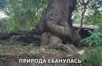Наслаждение у дерева. Хентай секс