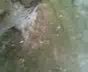 ДОМАШНЕЕ ПОРНО Нет мусульманка делает минет.3гп