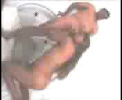 Снял молоденькую шлюху и поиздевался.3гп