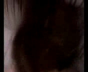 Друг заставил подругу отсосать.3гп