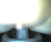 Пьяная блондинка скачет на хую.3гп