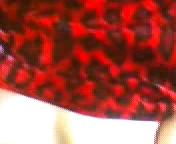 Молодая проститутка сосёт хуй.3гп