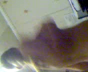 Стриптиз 18 летней девушки.3гп