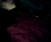 Девушки отсасывают на подьезде.3гп