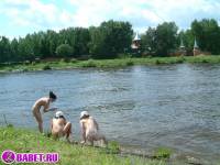 порно фотосессия Три подруги разделись до гола на речке фото-144.йпг