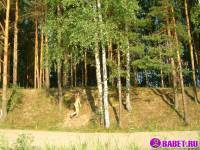 порно фотосессия Четыре голых девушки на отдыхе фото-18.йпг