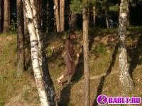 Четыре голых девушки на отдыхе фото-19.йпг скачать