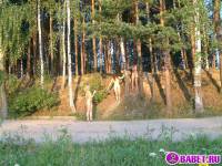 порно фотосессия Четыре голых девушки на отдыхе фото-473.йпг