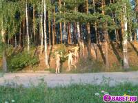 порно фотосессия Четыре голых девушки на отдыхе фото-475.йпг