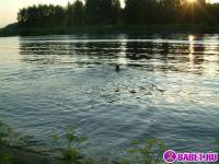 порно фотосессия Четыре голых девушки на отдыхе фото-519.йпг