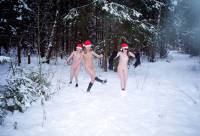 порно фотосессия Три голые снегурочки в холодной зимнем лесу svt148063.jpg