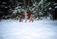 порно фотосессия Три голые снегурочки в холодной зимнем лесу svt148112.jpg