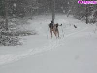 порно фотосессия Голый марафон на лыжах 123191749064.jpg