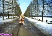 порно фотосессия Три блондинки пиздарванки светят жопами 0075008.jpg