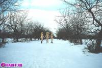 порно фотосессия Три блондинки пиздарванки светят жопами 0075094.jpg