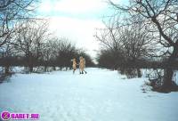 порно фотосессия Три блондинки пиздарванки светят жопами 0075095.jpg