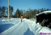 порно фотосессия Целке в -10 стало жарко и она разделась alice162048.jpg