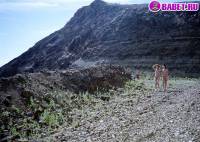 порно фотосессия Студентки ходят голенькими по горам laxa115058.jpg