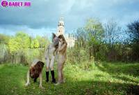 порно фотосессия Три голые нудистки где-то на корчах ges142081.jpg