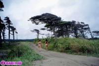 порно фотосессия Голые девчёнки подальше от людей фото-33.йпг