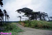 порно фотосессия Голые девчёнки подальше от людей фото-34.йпг