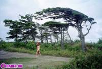 порно фотосессия Голые девчёнки подальше от людей фото-35.йпг