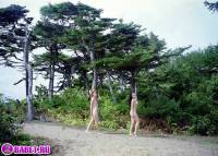 порно фотосессия Голые девчёнки подальше от людей фото-90.йпг