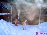 порно фотосессия Подружки нагишом отрываются на даче also002.jpg