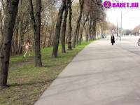 порно фотосессия Голые лесбиянки в московском парке фото-1.йпг